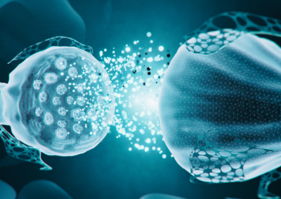 Notoriété et performance pour Synify